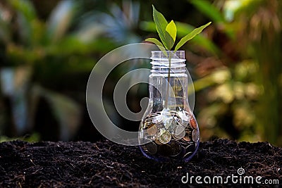 Money saving economy environment.Â  Plants growing in money coins in glass jar for investment planning travel and retirement Stock Photo